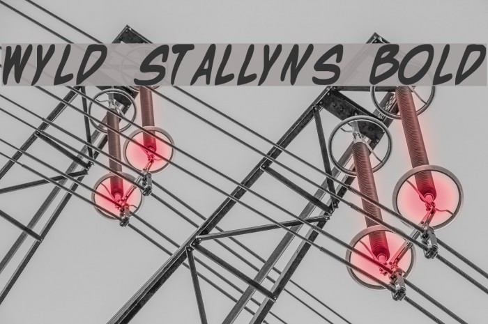Wyld Stallyns Bold Font examples