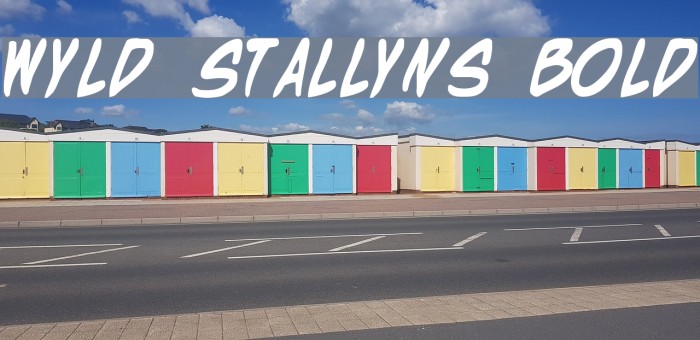 Wyld Stallyns Bold Font examples