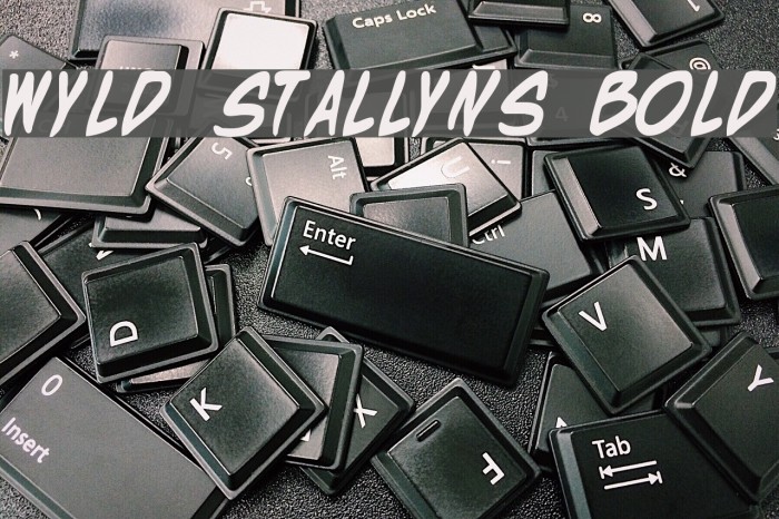 Wyld Stallyns Bold Font examples