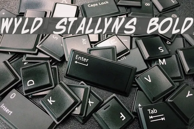 Wyld Stallyns Bold Example 3