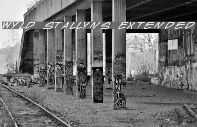 Wyld Stallyns Extended Polices examples