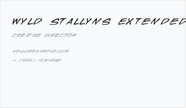 Wyld Stallyns Extended Business Card