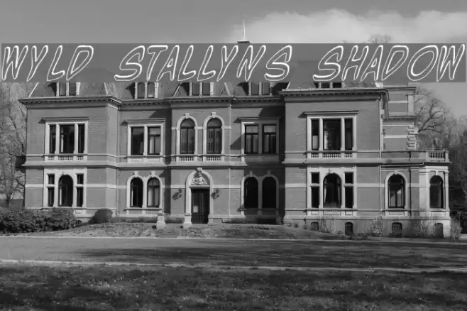 Wyld Stallyns Shadow Font examples