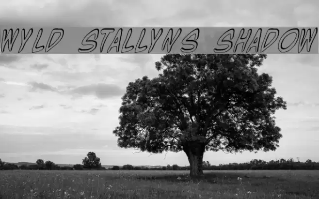 Wyld Stallyns Shadow Font examples