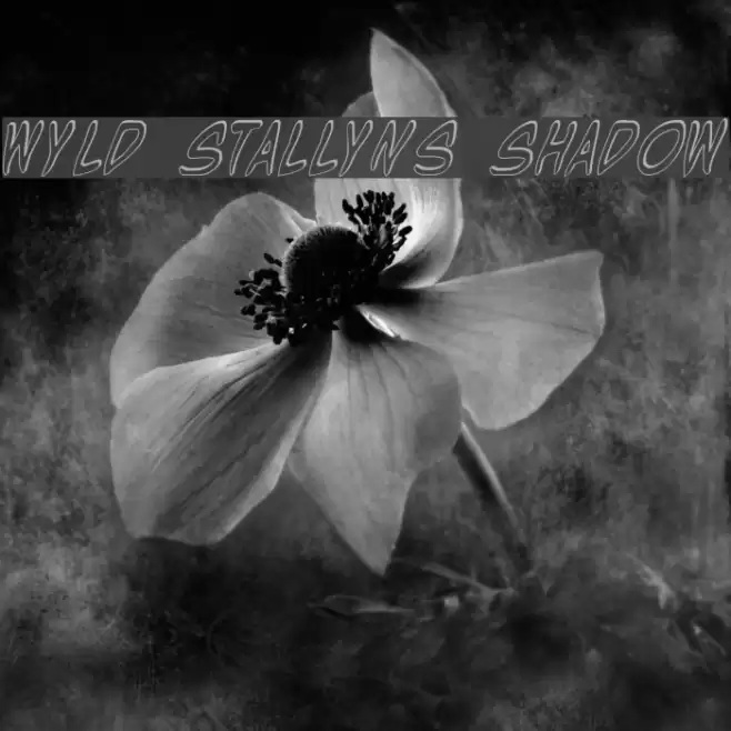 Wyld Stallyns Shadow Font examples