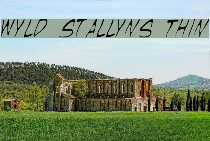 Wyld Stallyns Thin Font examples
