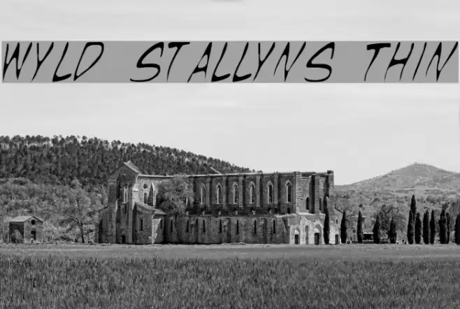 Wyld Stallyns Thin Caratteri examples