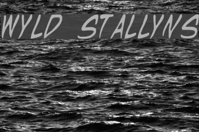 Wyld Stallyns Font examples
