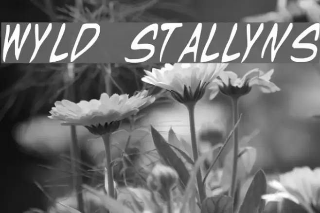 Wyld Stallyns Font examples