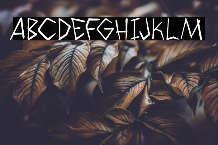 WyldSavagezPG Example 2