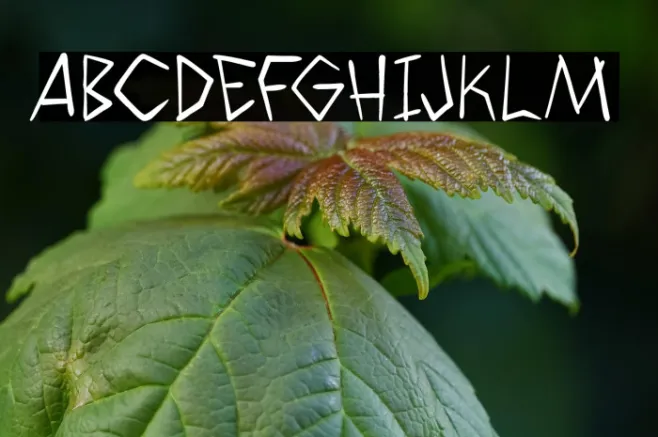 WyldSavagezPG Example 3