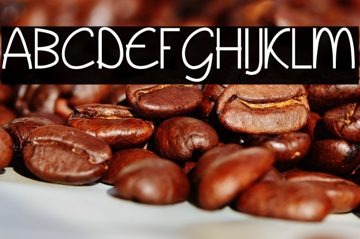 Wyllam Regular Example 1