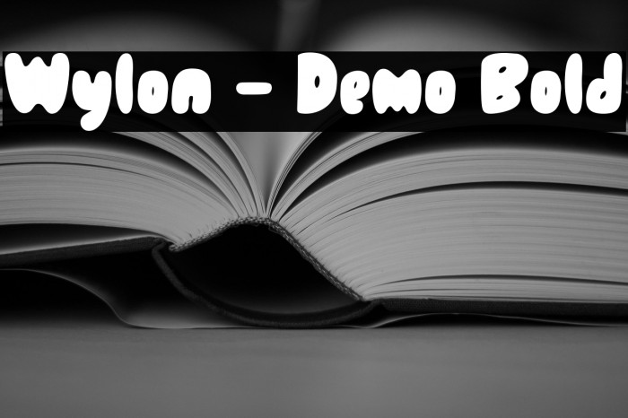 Wylon - Demo Bold Example 2