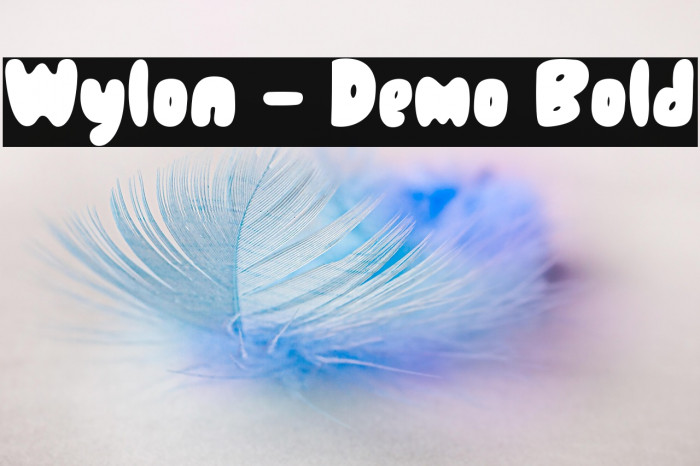 Wylon - Demo Bold Example 3