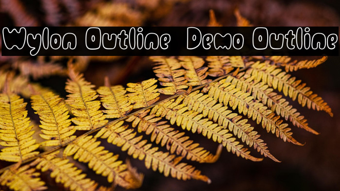 Wylon Outline - Demo Outline Example 1