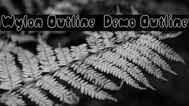 Wylon Outline - Demo Outline خط examples
