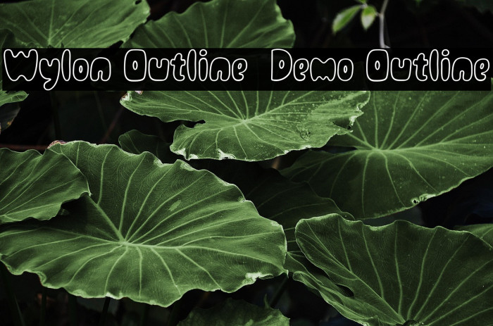 Wylon Outline - Demo Outline Example 3