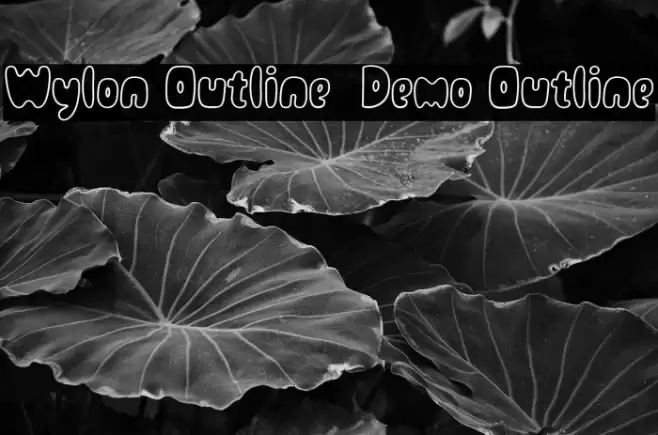 Wylon Outline - Demo Outline خط examples