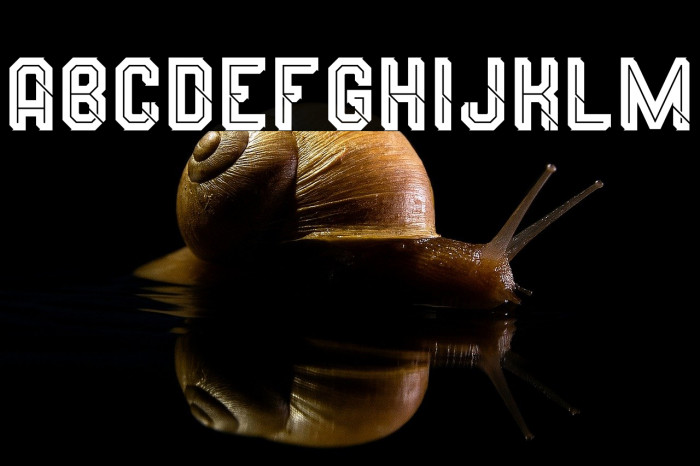 Wynford Line Alt. 1 Example 1