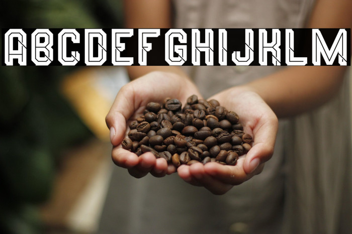 Wynford Line Alt. 1 Example 3