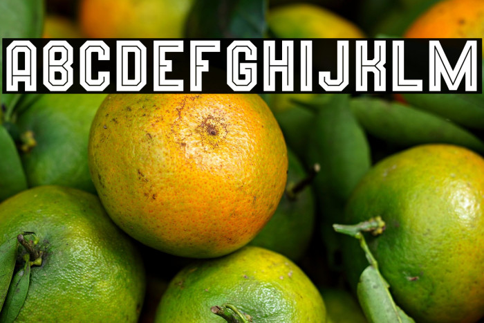 Wynford Line Example 2