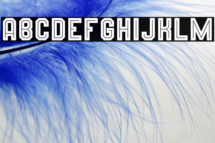 Wynford Line Example 3