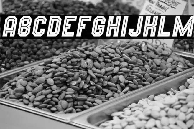 Wynford Oblique Line Font examples