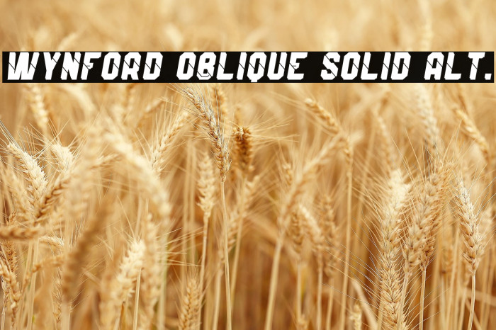 Wynford Oblique Solid Alt. Example 3