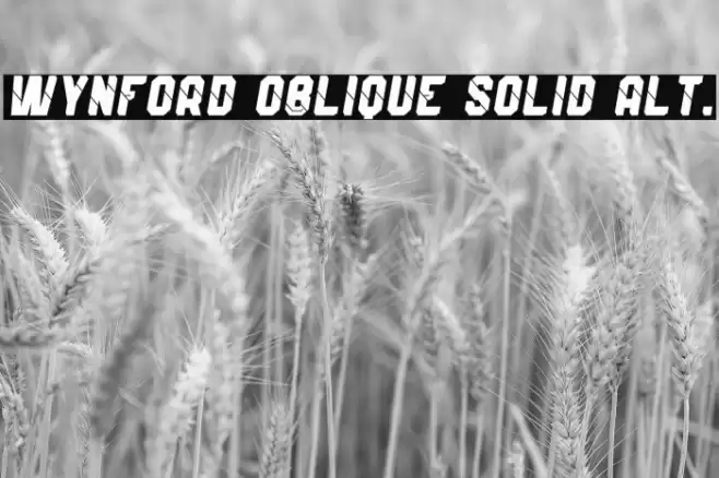 Wynford Oblique Solid Alt. Font examples