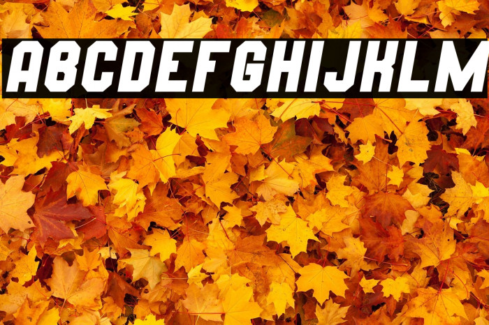 Wynford Oblique Solid Example 1