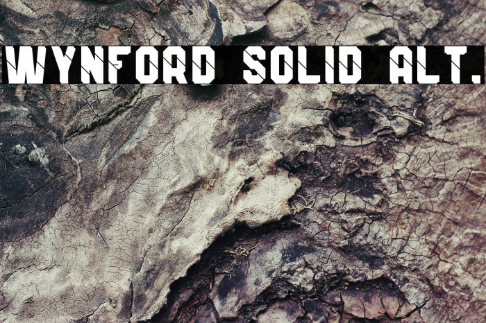 Wynford Solid Alt. Example 3