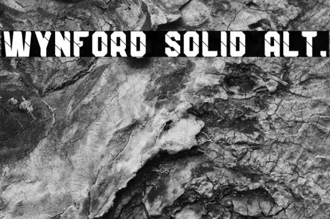 Wynford Solid Alt. Font examples