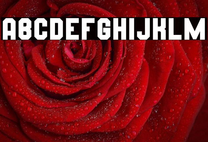 Wynford Solid Example 1