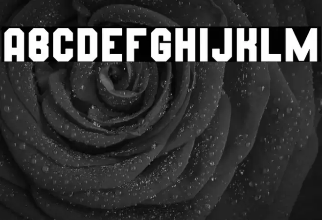 Wynford Solid Font examples