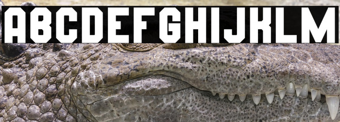 Wynford Solid Example 2