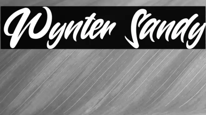 Wynter Sandy Font examples
