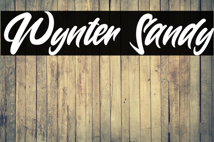 Wynter Sandy Example 2