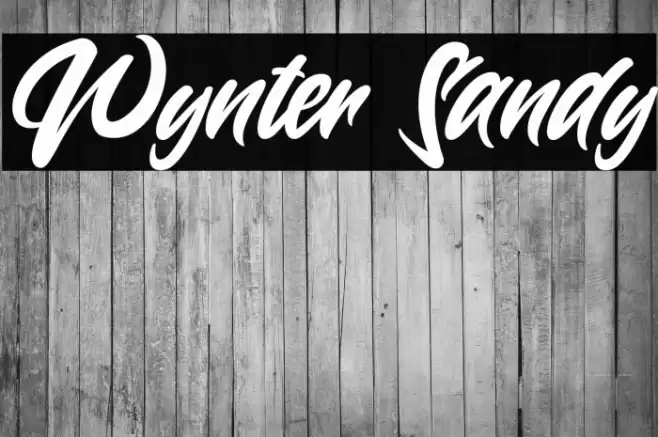Wynter Sandy Font examples