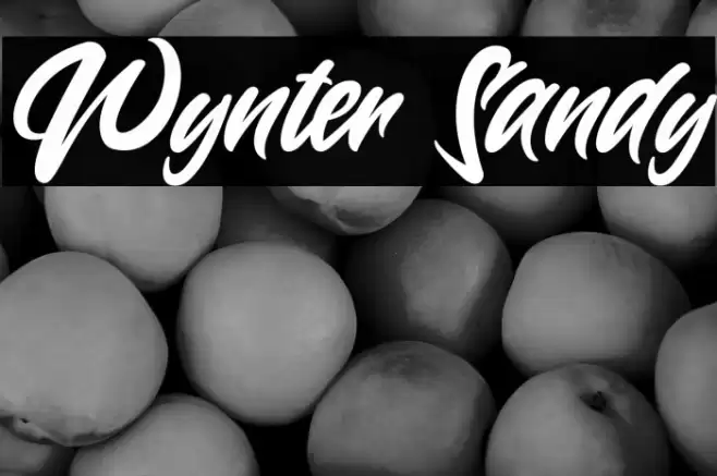 Wynter Sandy Font examples