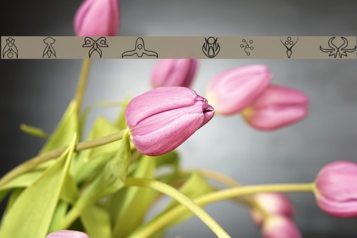 Wyrm Font examples