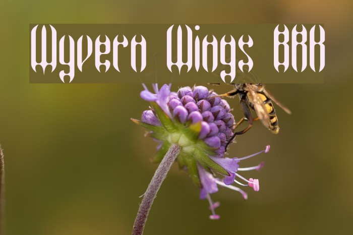 Wyvern Wings BRK Example 1