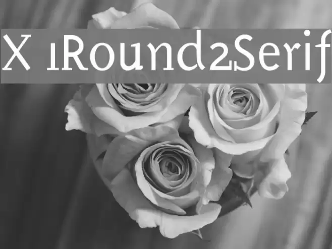 X 1Round2Serif Font examples