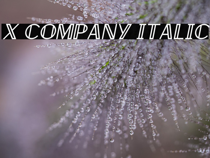X Company Italic Example 2