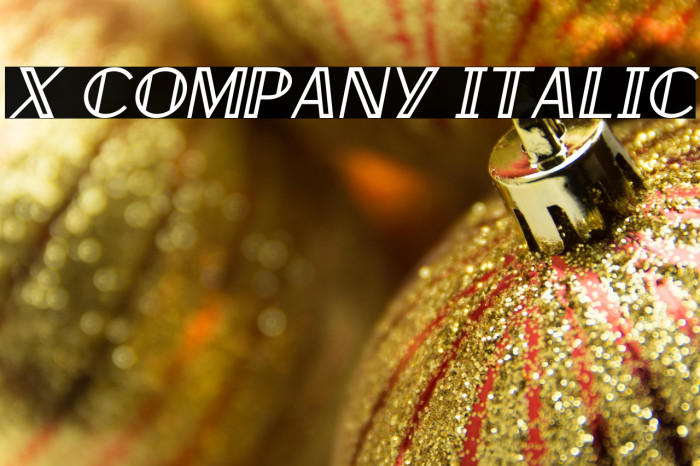 X Company Italic Example 3