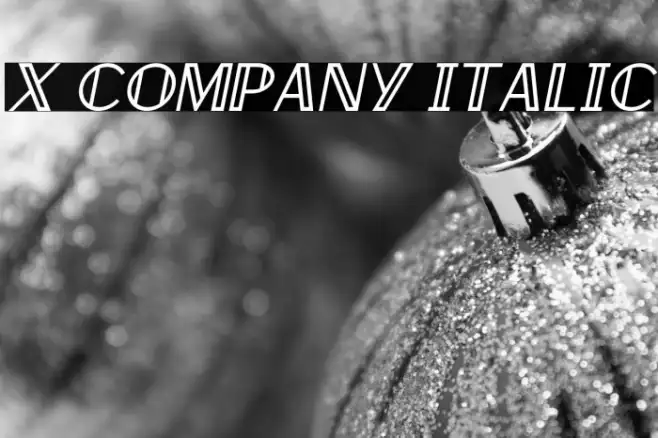 X Company Italic Example 3