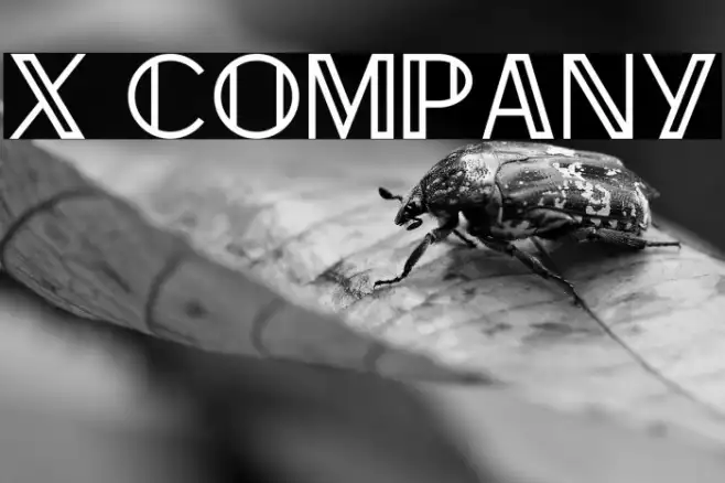 X Company Example 1