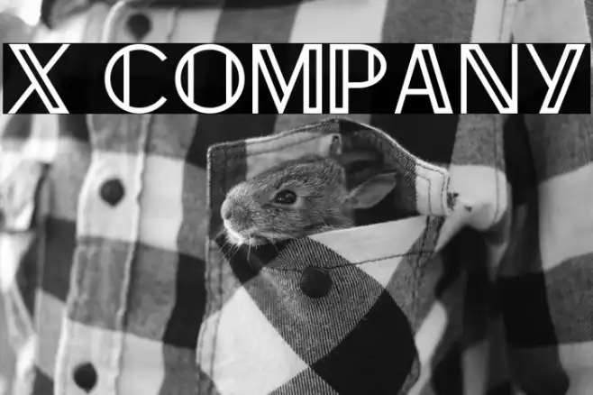 X Company Example 2