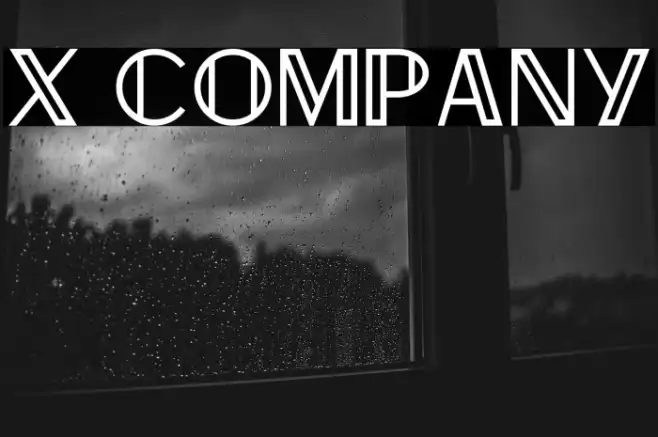 X Company Example 3