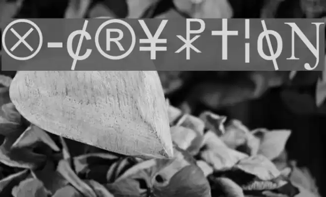 X-Cryption フォント examples