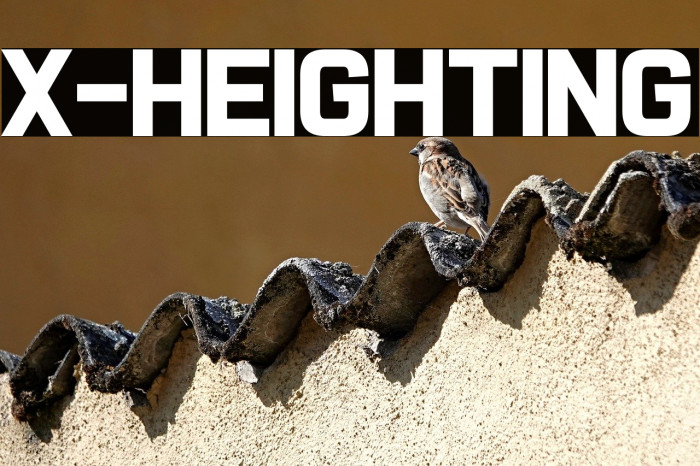 X-Heighting Example 1